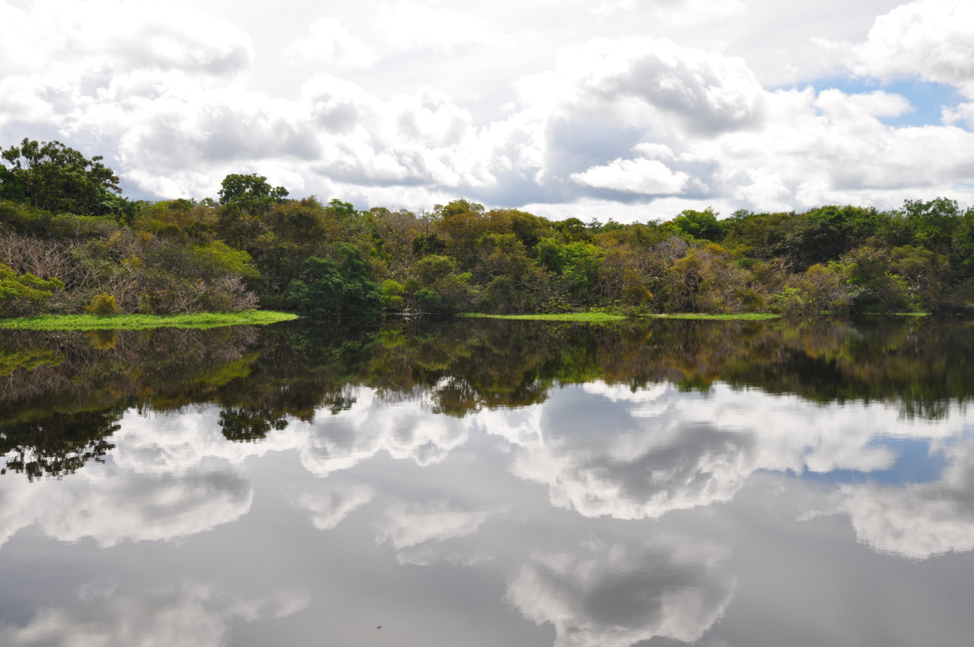 Brazylia - Manaus - Amazonka